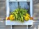 Conseils et astuces pour choisir les plantes idéales de vos jardinières de fenêtre