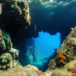 La plongée sous-marine en France : un trésor caché à explorer